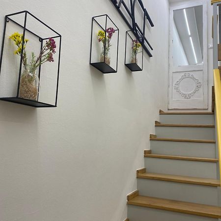 Silvano Cozy Loft Bologne Extérieur photo